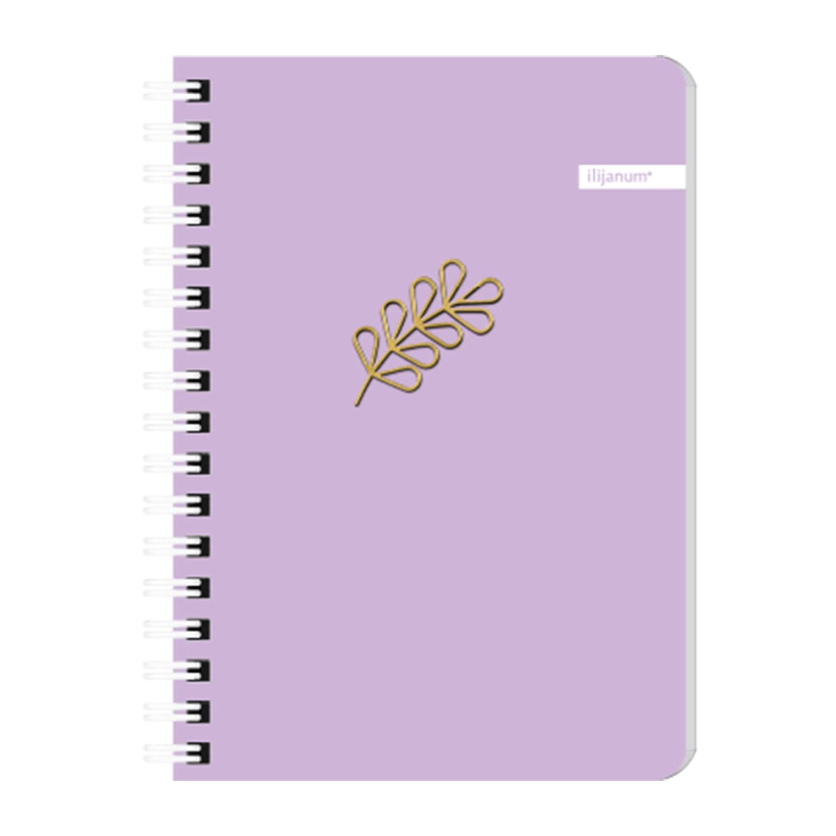 Notes Ilijanum, A6, cu spira, 60 file, dictando, soft touch