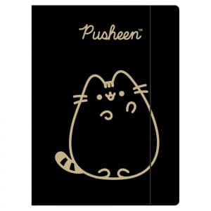 Mapa carton St.Majewski Pushen 675171, cu elastic, A4