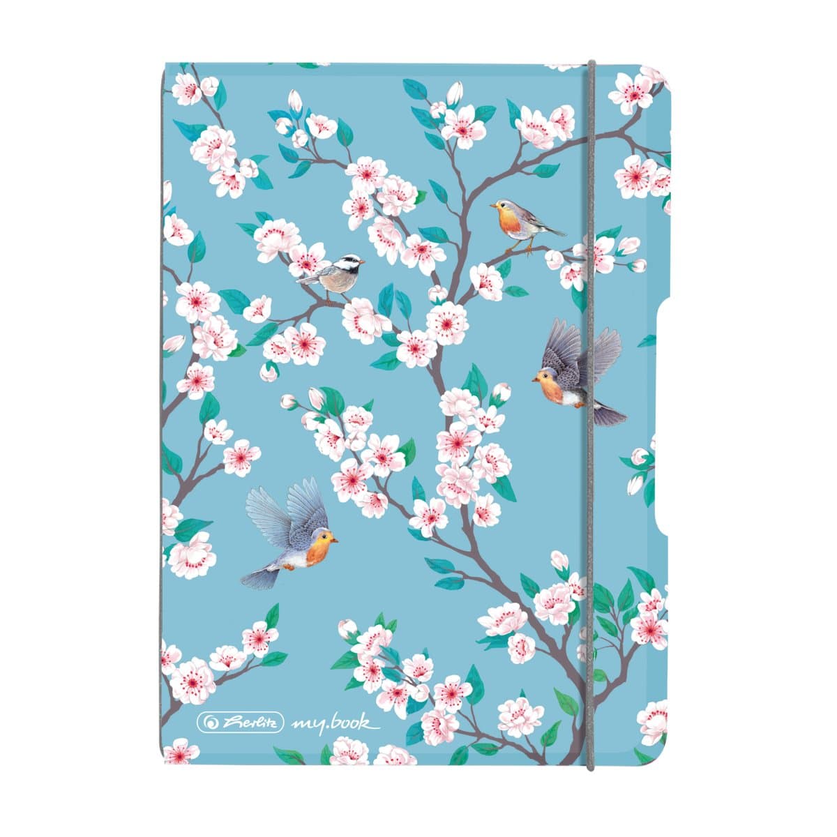 CAIET MY.BOOK FLEX A6 40F 80G/MP DICTANDO LADYLIKE BIRDS