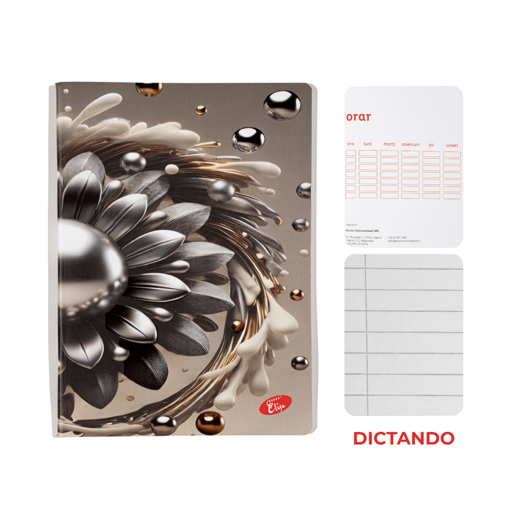 Caiet A5 Dictando ELISA PRINT 3D Arts, 48 file, 80g, coperta 300g
