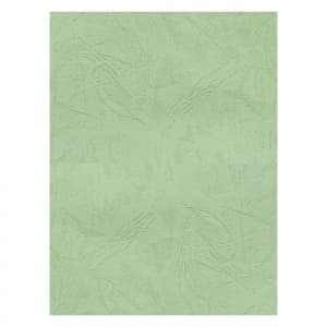 Coperta indosariere A4 CNX, carton imitatie piele, fistic, 230g/mp, top 100 coli