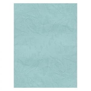 Coperta indosariere A4 CNX, carton imitatie piele, verde pastel, 230g/mp, top 100 coli