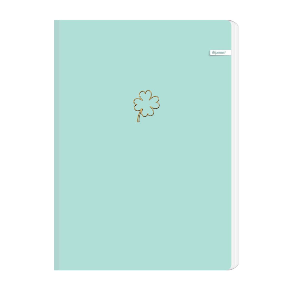 Caiet Ilijanum, A4, 96 file, 70 g/mp, matematica, soft touch