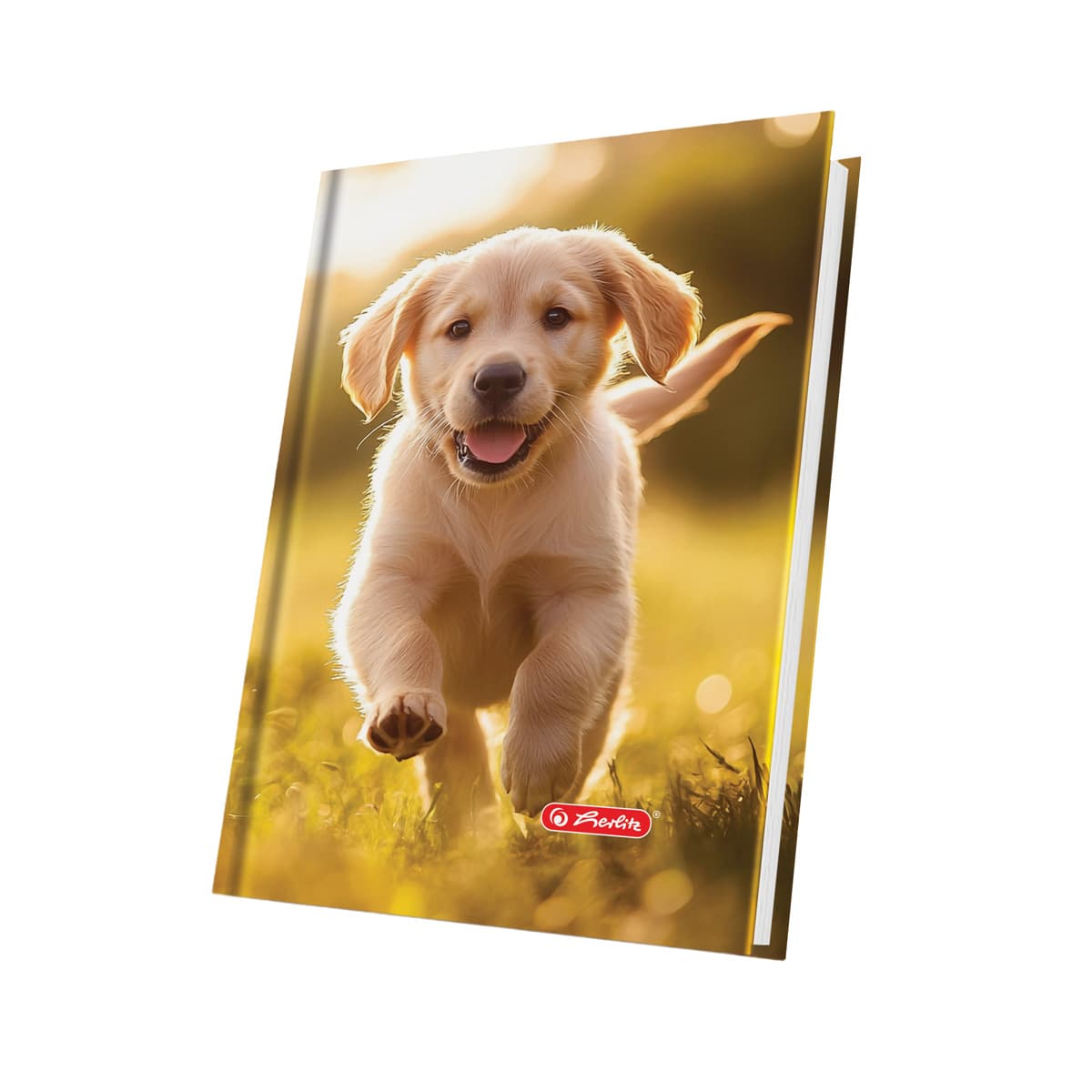 AGENDA NEDATATA A5 224PAG COPERTA PIELE SINTETICA CUTE