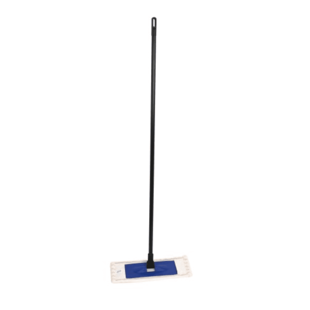 Mop plat, cu coada, Azur